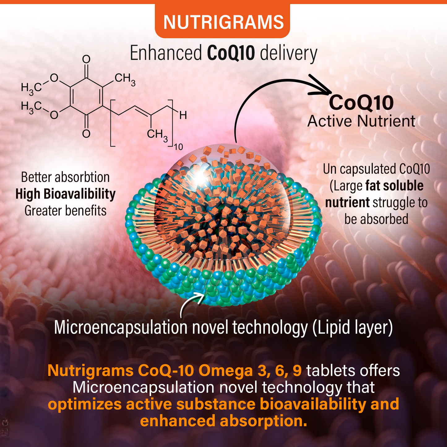 Microencapsulated Coenzyme Q10 with Omega 369 Fatty Acids Supplement