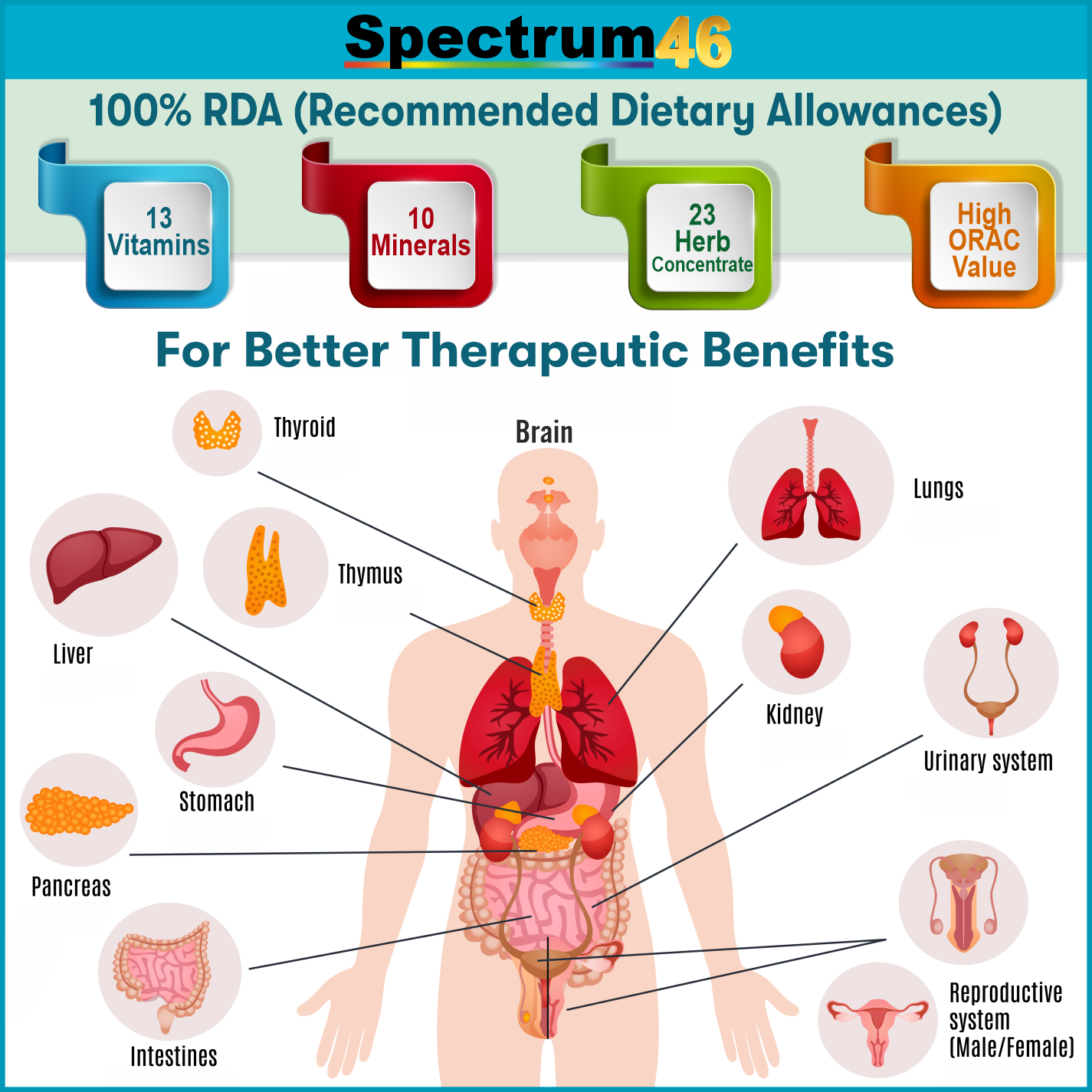 Spectrum46: 46-in1 Blend of Multivitamins, Minerals, Antioxidants and Bioactive Herbs